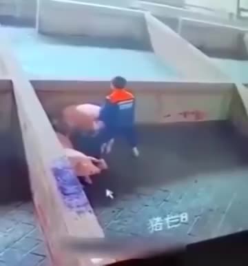 The Joy of Chinese Men - LiveGore.com